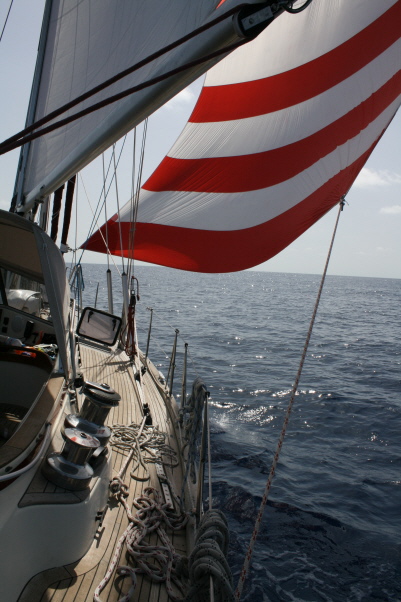 TASHAKOR mit Blister TASHAKOR mit Blister