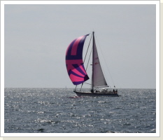 ... unter Spinnaker ... unter Spinnaker
