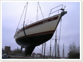 ... jedes Jahr wieder - TASHAKOR im Kran ... jedes Jahr wieder - TASHAKOR im Kran